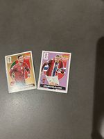 Panini Doppelt