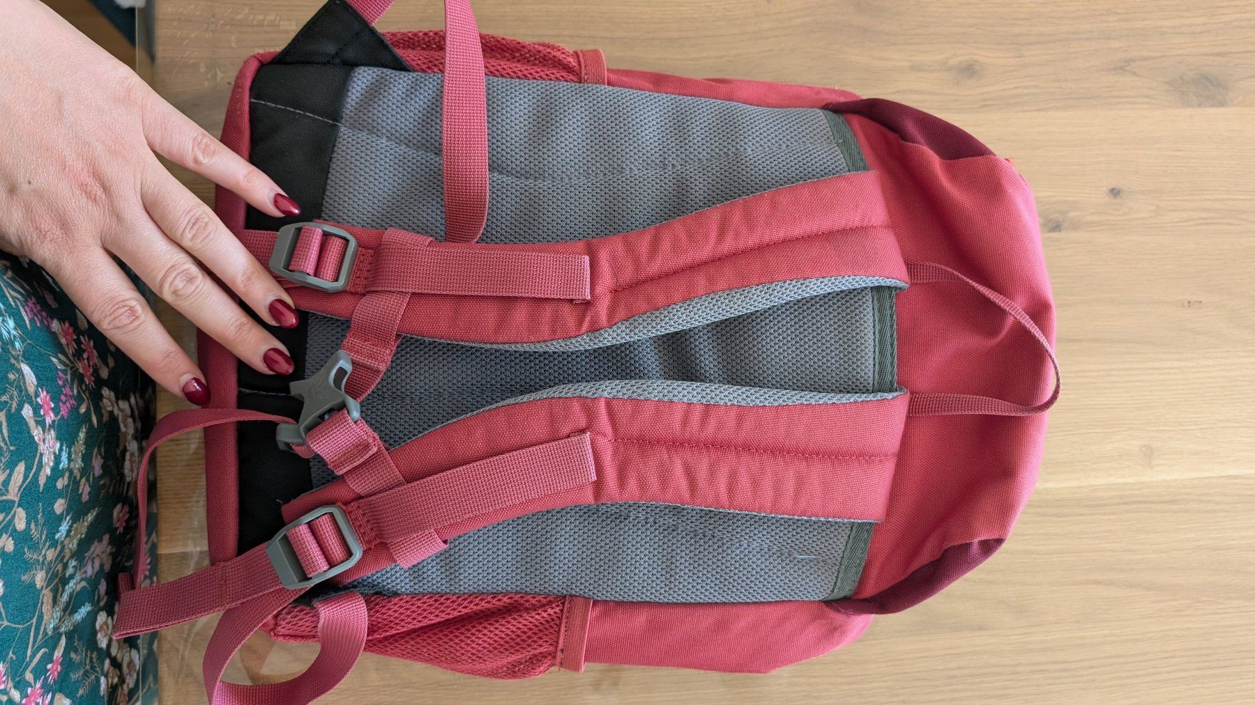 Deuter Kindertaschen: Deuter Waldfuchs, Rucksack 10L – Gebraucht aus Winkel von AlinaAru 3