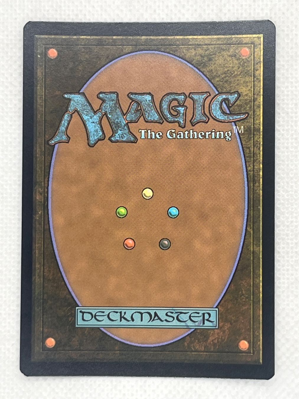 Magic The Gathering Carte collezionabili: Magic: The Gathering Foil Tidepool Turtle - Top Zustand! – Usato da Hinterkappelen venduto da Kim1992 1