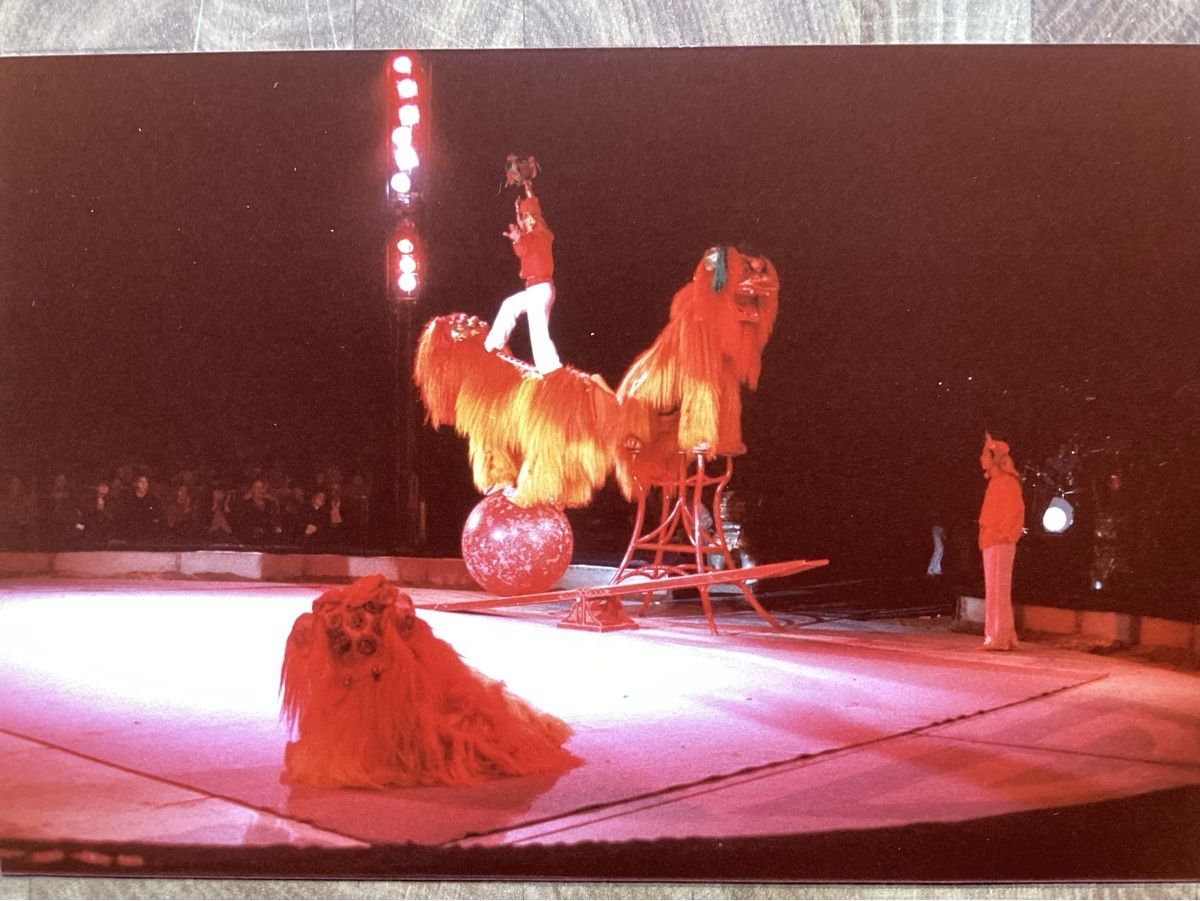 Poster & Bilder: Circus Knie Foto 1984 – Gebraucht aus Reichenbach i. K. von astra2010