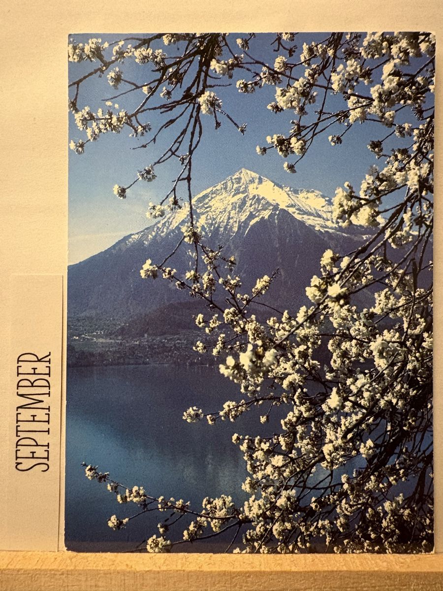 Cartoline postali: AK von Thunersee Niesen – Usato da Rümlang venduto da Brieftaube1