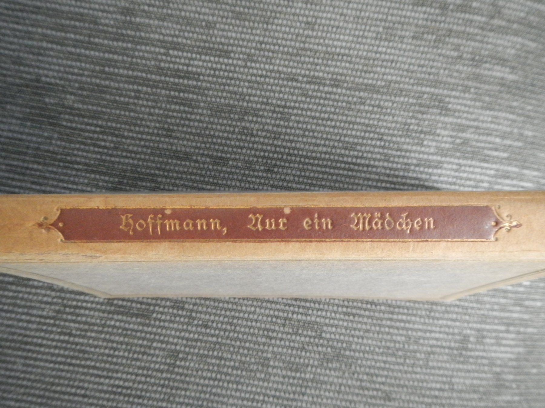 Libri: Nur ein Mädchen, Aline Hoffmann, 1918, über Jeanne d'Arc – Usato da Wallisellen venduto da Marysan8 1