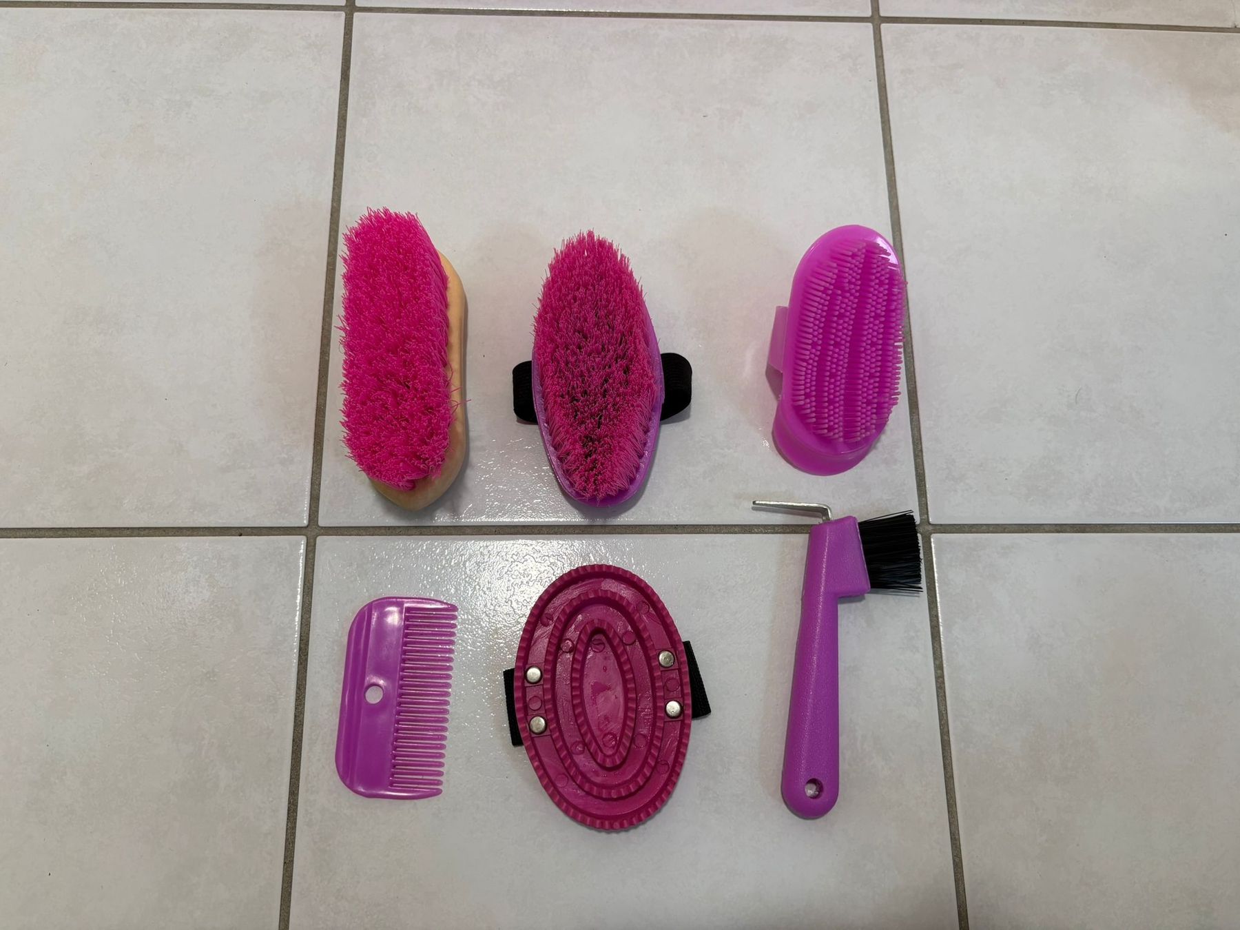 Scarpe per cavalli: Équipement d'équitation – Usato da Granges-Paccot venduto da smo_dp89 7
