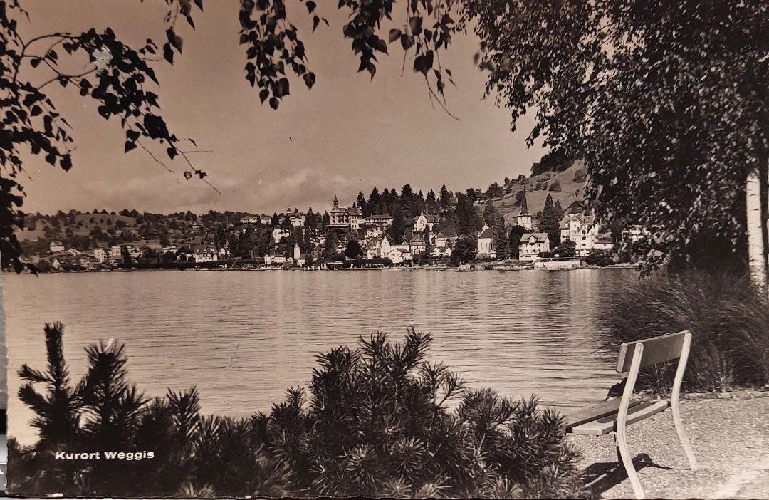 Cartes postales: WEGGIS - 1955 – D'occasion à Delémont par Domdom1