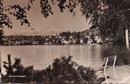 WEGGIS - 1955