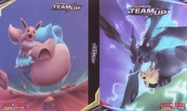 Pokemon Kartenalbum (240 Karten)