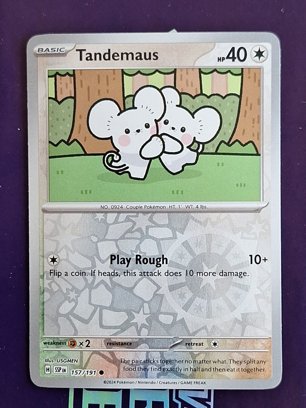 Pokémon Carte collezionabili: Tandemaus - Reverse Holo - Pokemon Surging Sparks – Usato da Altstätten SG venduto da GGsGameshop