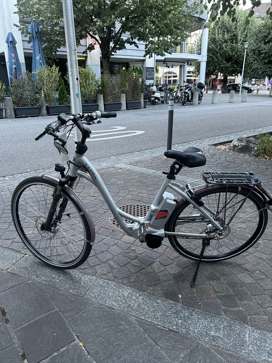 Flyer Vélos: Flyer e bike 45 km/h – D'occasion à Egerkingen par G1970B 3