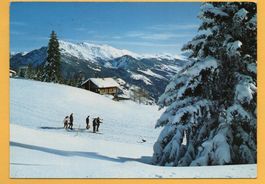 CHUR Brambrüesch Berghaus Battagliahütte, Skifahrer