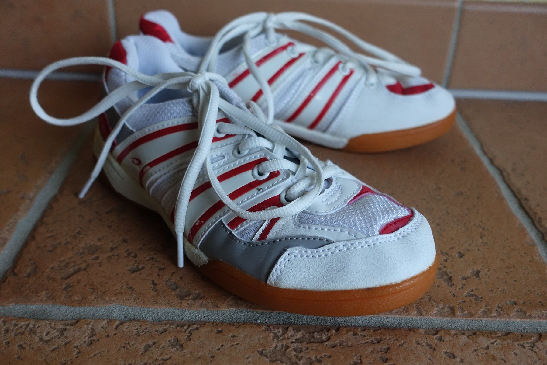 Scarpe per ragazzi: Basket Panther indoor T36 – Usato da Chamoson venduto da daleva0204 2