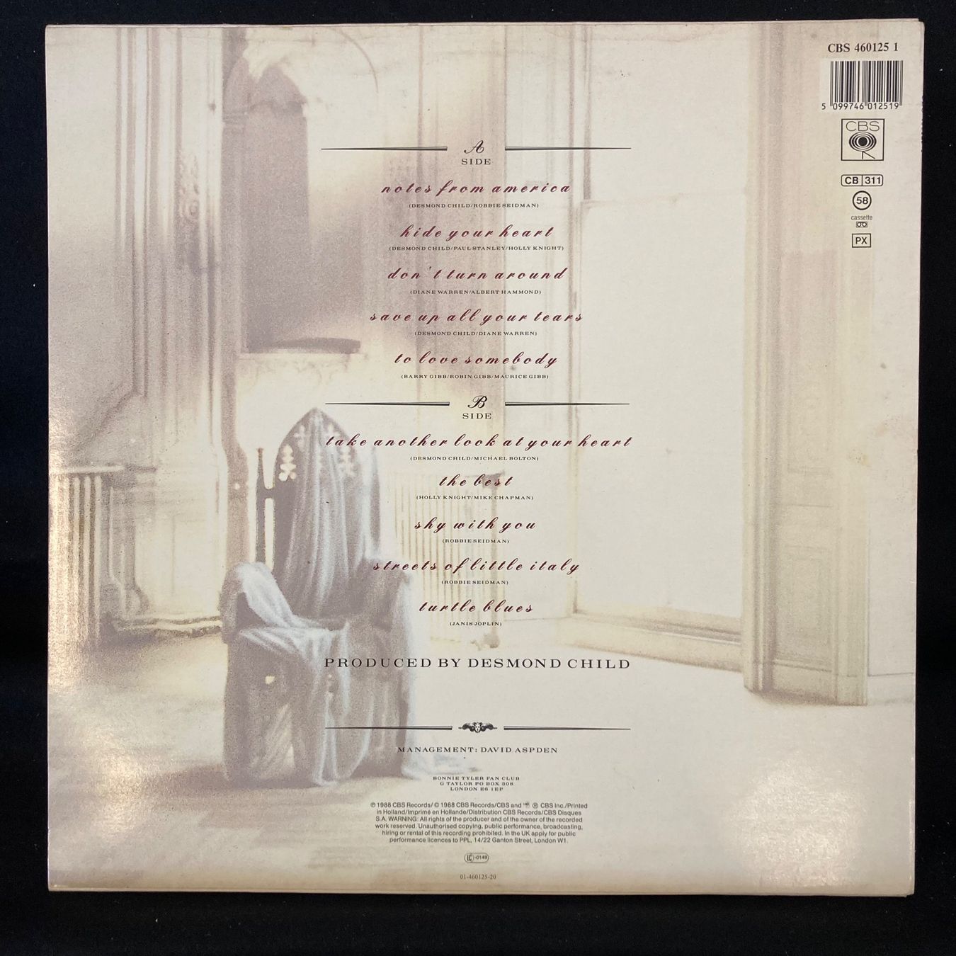 Schallplatten: Bonnie Tyler / Hide Your Heart – Gebraucht aus St.Gallen von Out-take 1