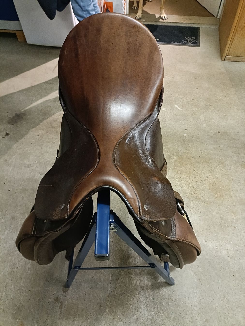 Selle & Accessori: Englisch Reitsattel – Usato da Häfelfingen venduto da Tom316 1