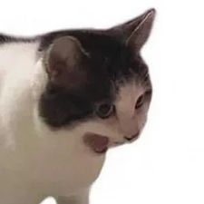 Profile image of Lunatic2112