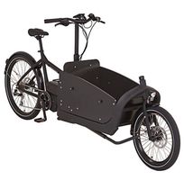 E Lastenrad