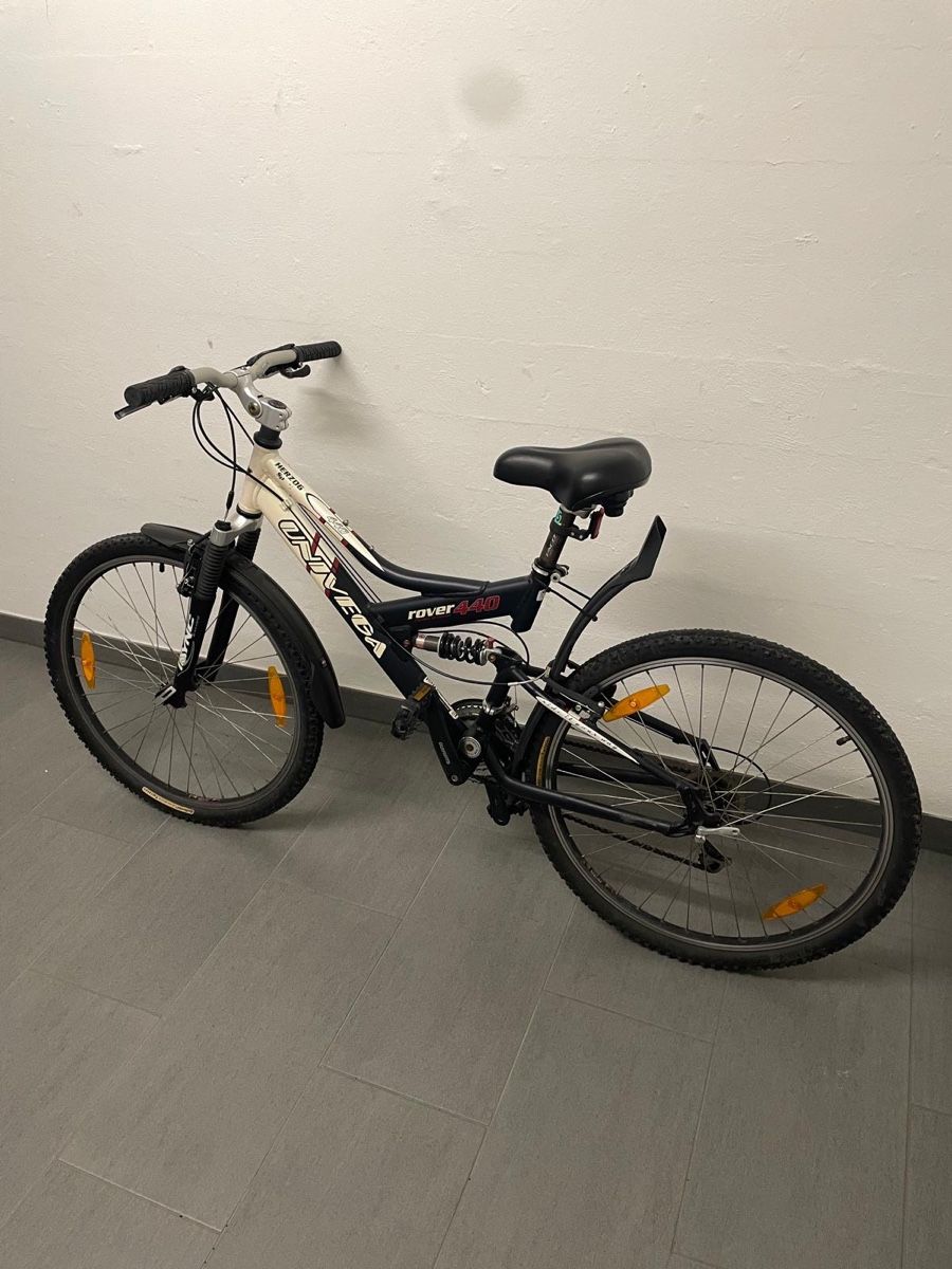 Biciclette: Bike Trailer & Bike Bundle – Usato da Allschwil venduto da maj_75ms
