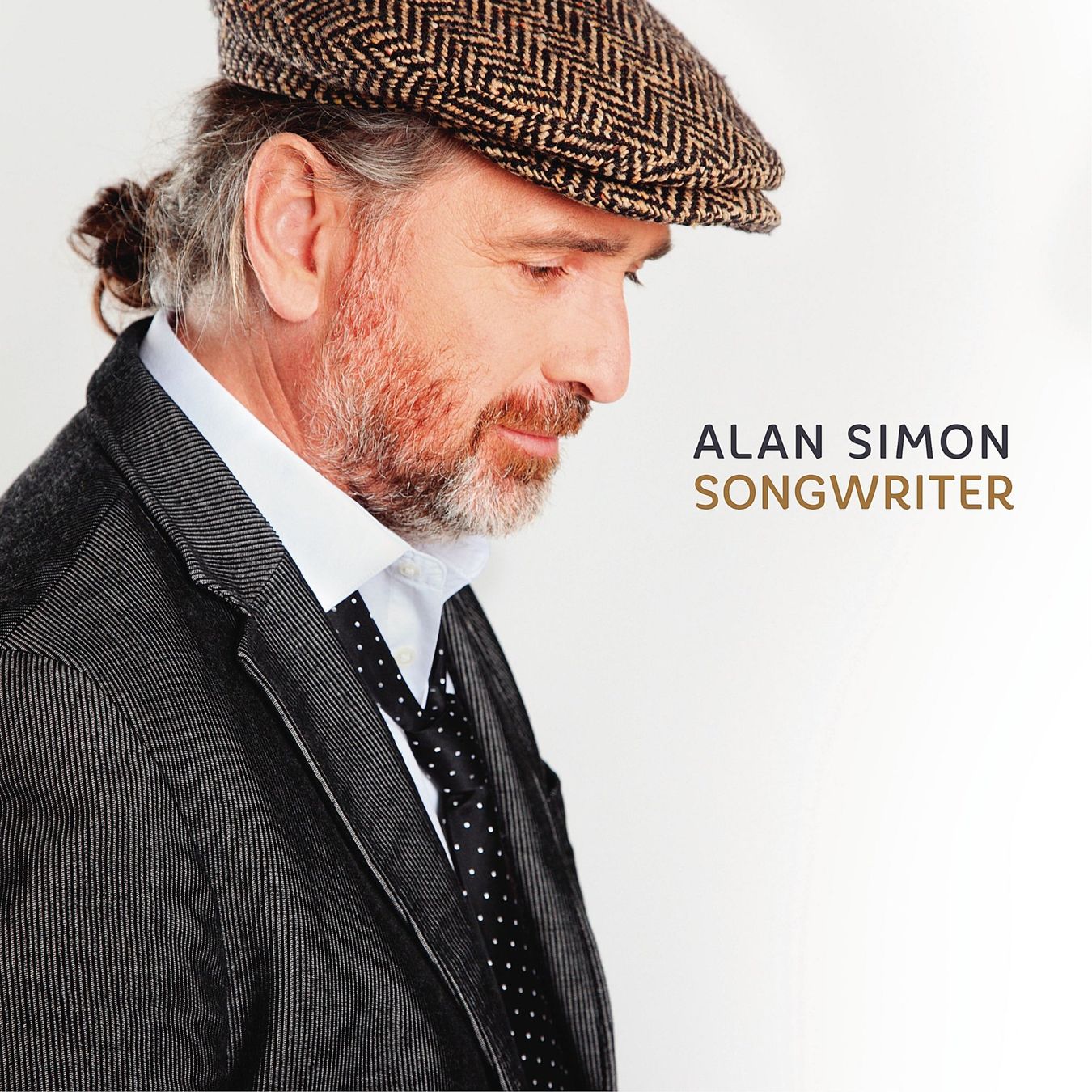 CD: Alan Simon - Songwriter Doppel-CD – Usato da Niederhasli venduto da Hsoz