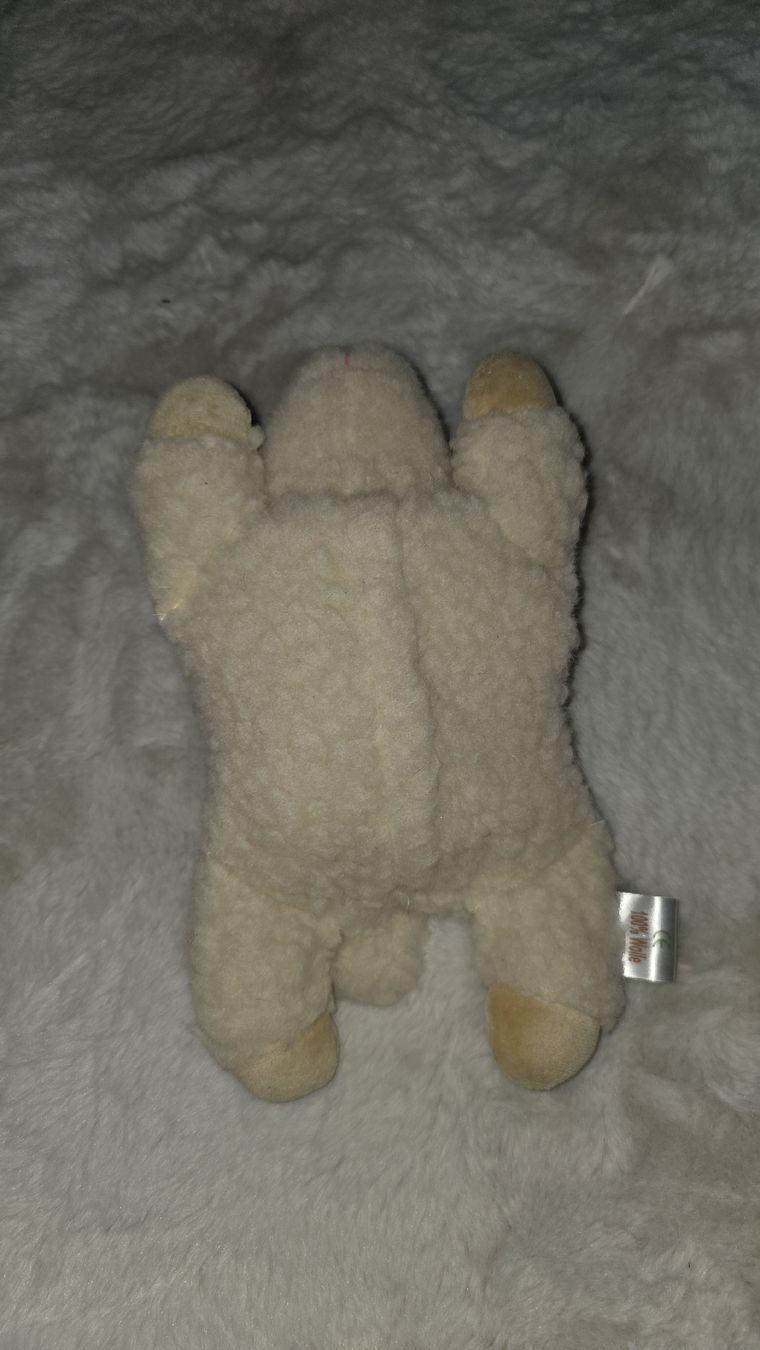 Altri elettrodomestici e apparecchi d’epoca: Süsses Chriesistei-Lämmchen zum wärmen – Usato da Wetzikon ZH venduto da secondhandsfashion 1