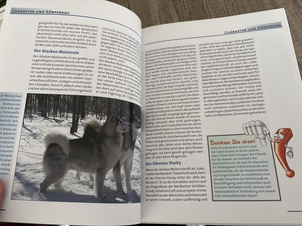 Bücher: Mein gesunder Nordischer Schlittenhund – Neu (gemäss Beschreibung) aus Schaffhausen von Reporter 4