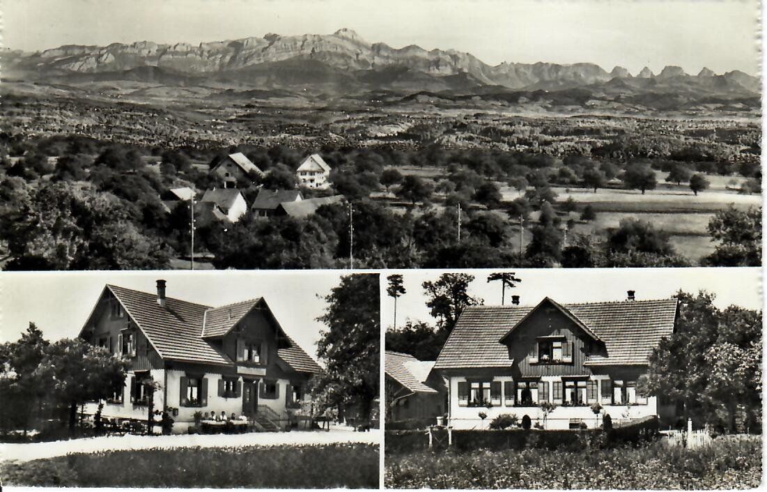Cartoline postali: Waldrestaurant Haidenhaus bei Steckborn – Usato da Hochdorf venduto da Ziegel-16