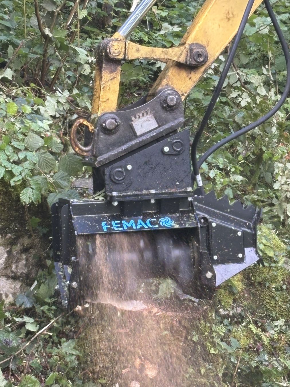 Tutte le macchine: Forstmulcher Femac T3 US – Nuovo (secondo la descrizione) da Kastanienbaum venduto da acapulco 7