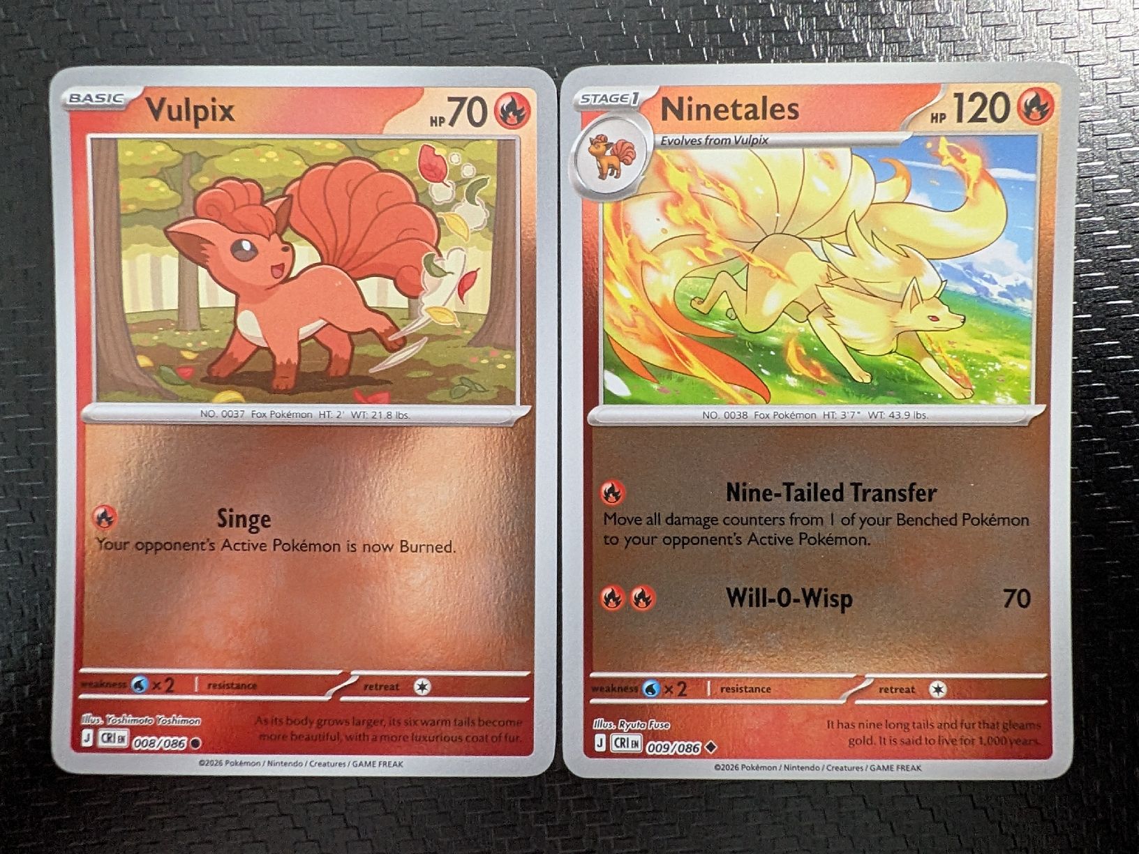 Pokémon Carte collezionabili: 2-teiliges Evolutions-Set bestehend aus Vulpix und Ninetales – Nuovo (secondo la descrizione) da Märstetten venduto da eri_9lt8