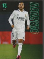 TCG Card PANINI TOP CLASS 2023 Team Mate 097 RODRYGO