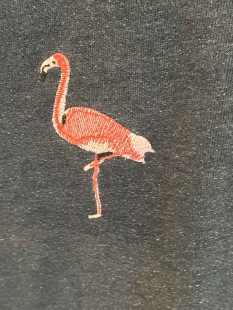 Gap Maglioni & Felpe: Gap Sweatshirt Damen Grösse M – Usato da Münsingen venduto da ben_m9cs 2