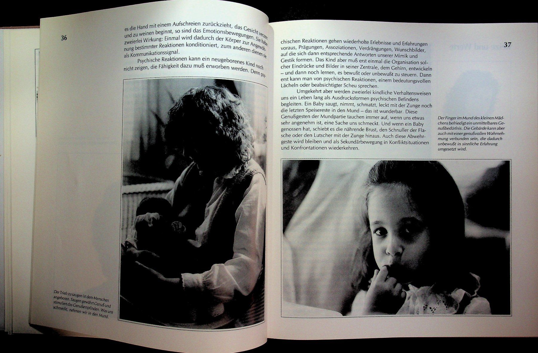 Livres: Samy Molcho Körpersprache Ex Libris 1990 – D'occasion à Reitnau par zao_6stq 3