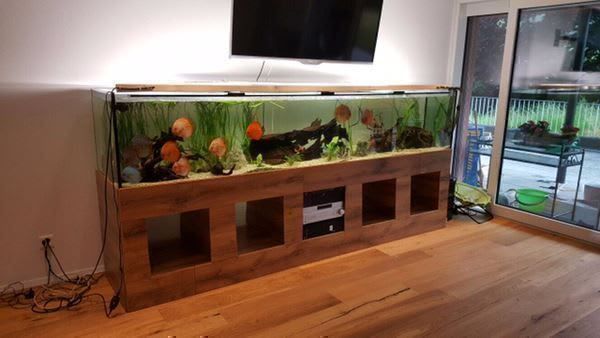 Acquari: 300x60x60 Becken – Nuovo (secondo la descrizione) da Berikon venduto da fischundart 1