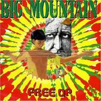 BIG MOUNTAIN (CD) Free Up!  NEUWERTIG!