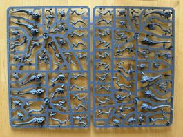 Warhammer 40k - Tyranid Hormagaunts x 10