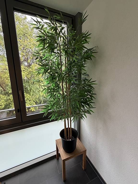 Plantes & graines: Kunstpflanze Bambus – D'occasion à Basel par silent_bill 1