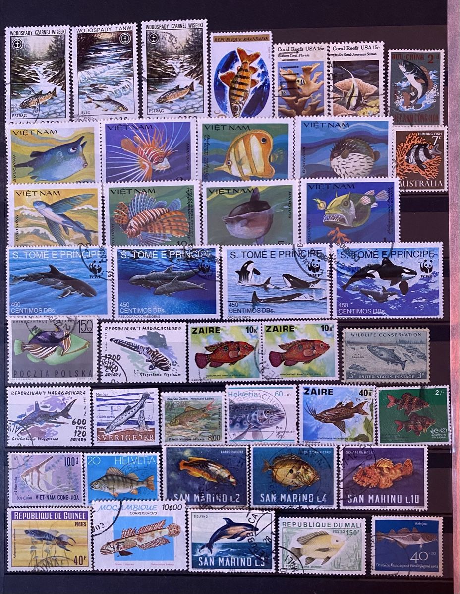 Tutti i francobolli: Timbres thème Poisson – Usato da Petit-Lancy venduto da Solcarm