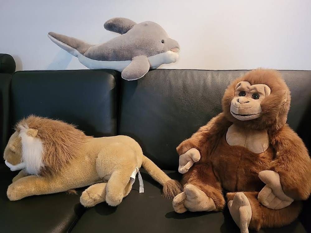 Giocattoli: Peluches grandi – Usato da Lugano venduto da Antonella68