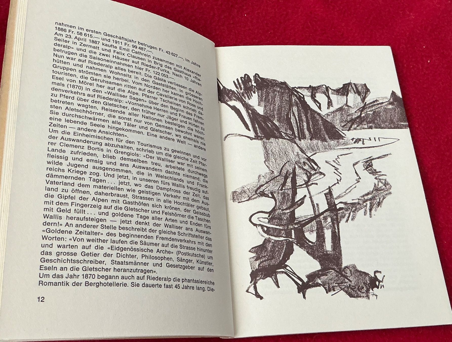 Libri: Peter Arnold RIEDERALP - Historisches Buch – Usato da Naters venduto da seidengut 2