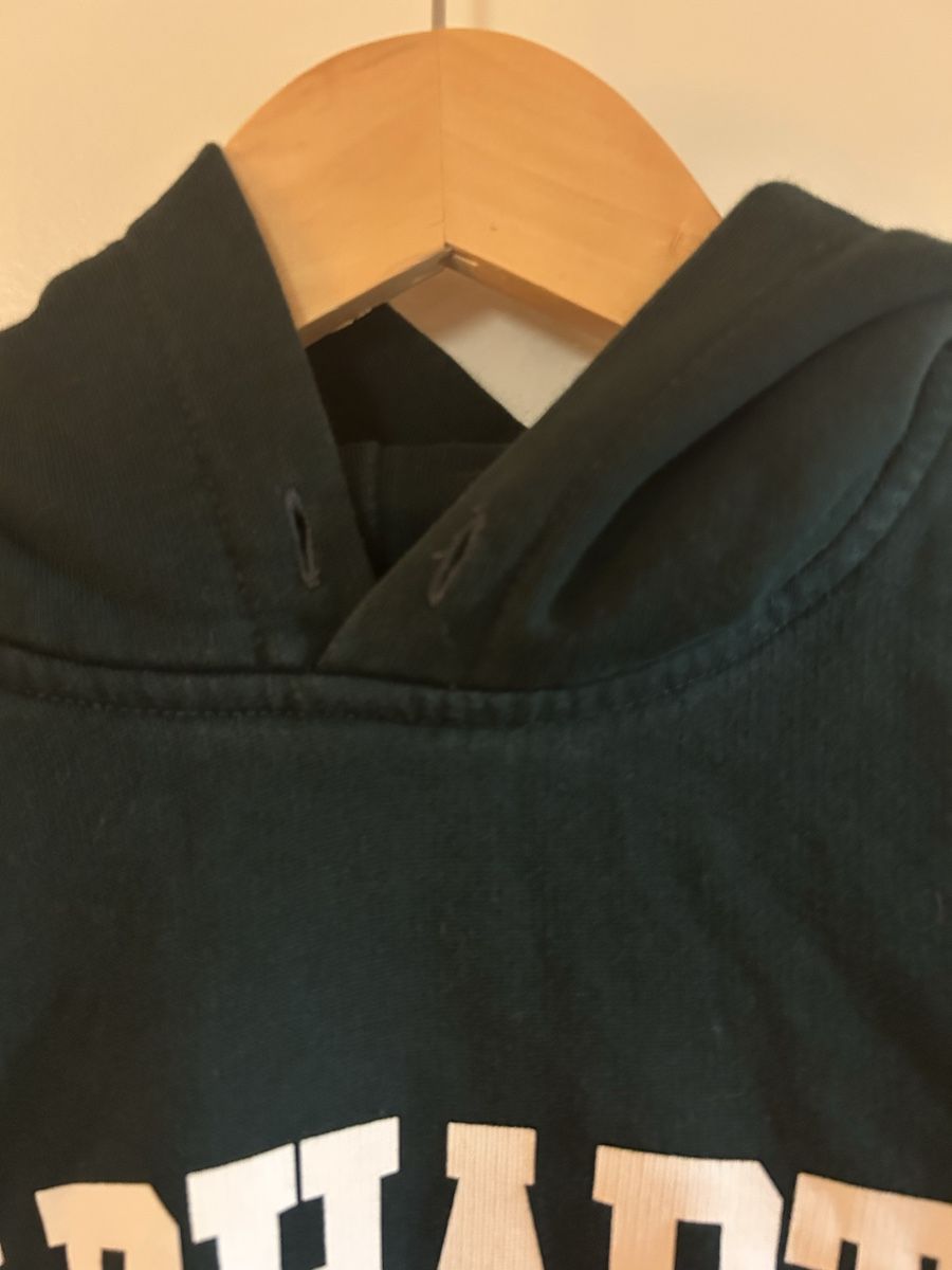 Carhartt Pulls & Sweat-shirts: carhartt pullover – D'occasion à Zürich par ori_9dcy 1