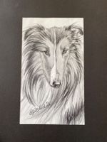 Zeichnung Hund Portrait