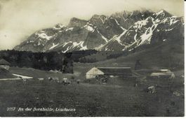 2157 An der Bernhalde LAUCHWIES Alpsteingebiet AP um 1920!