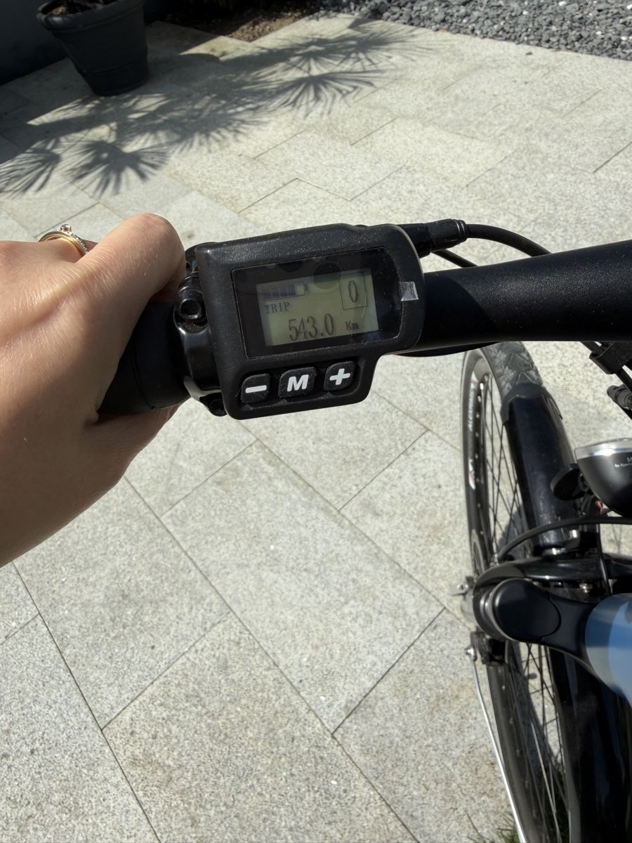 Biciclette: E-Bike Allegro Explorer – Usato da Ettenhausen TG venduto da Pascha03 6