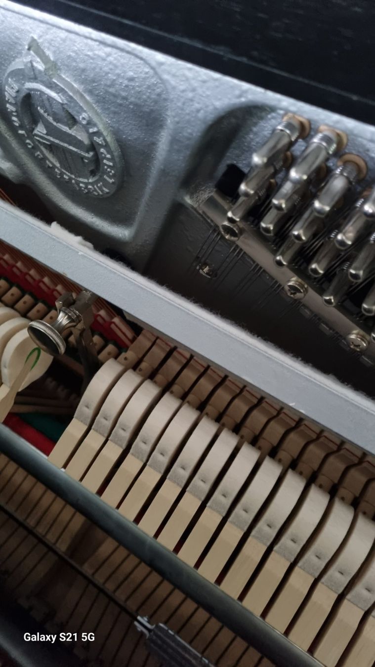 Strumenti musicali: Rönisch Klavier Designer Edition – Usato da Winterthur venduto da hadok7 1