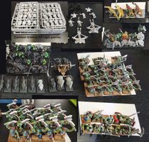 Warhammer WFB Ork and goblins - Sold separately!