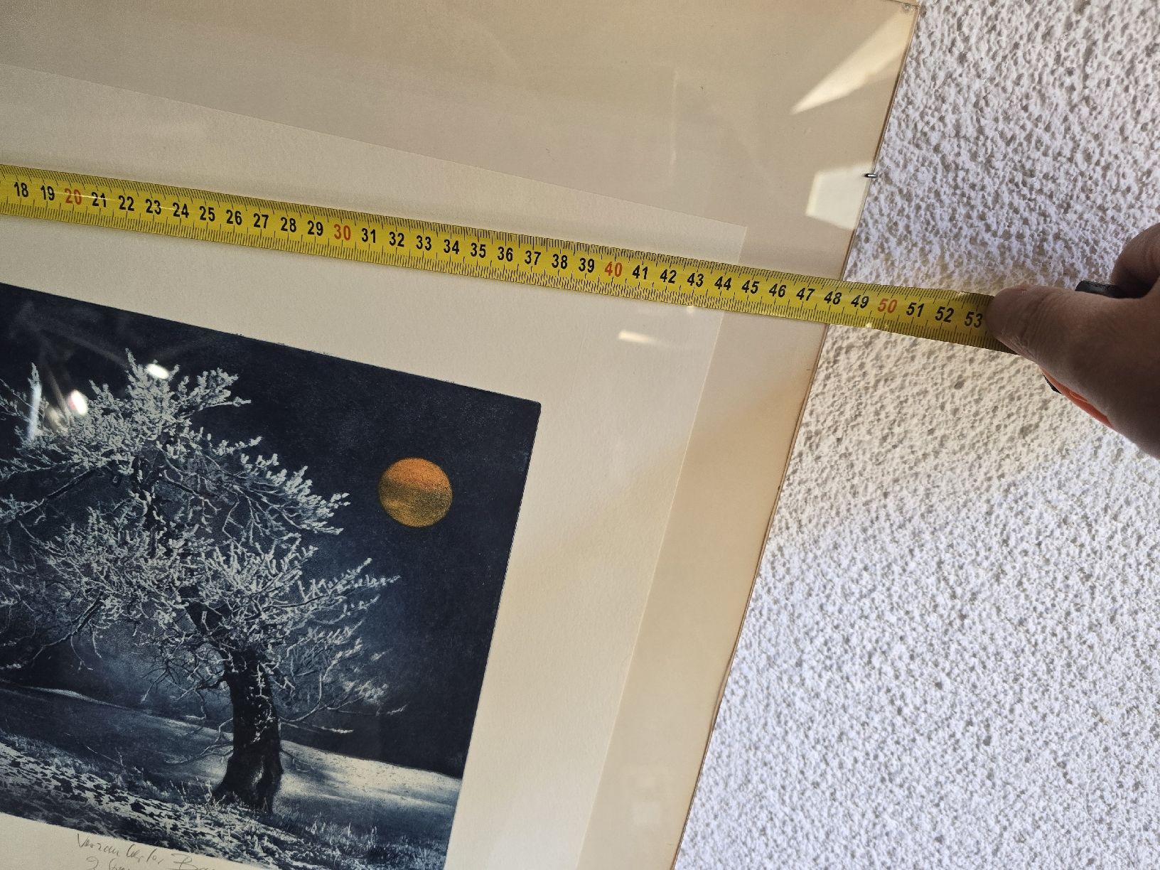 Foto & Immagini: Original Radierung "Verschneiter Baum" – Usato da Winterthur venduto da UmzugsFundgrube 3