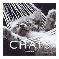 Chats de Jean-Claude Suarès