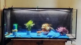 Aquarium 240 Liter mit Untergestell 