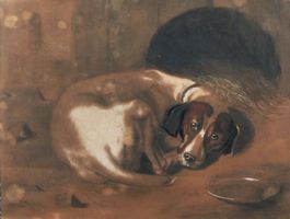 Anonym, "Jagdhund des Hofmarschallsu Generals von Seebach"
