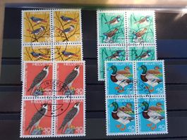 1971 - PJ - Vögel - Nr. 236 - 239 - 4er Blöcke    / 479
