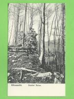 Küssnacht Gessler Ruine um 1920