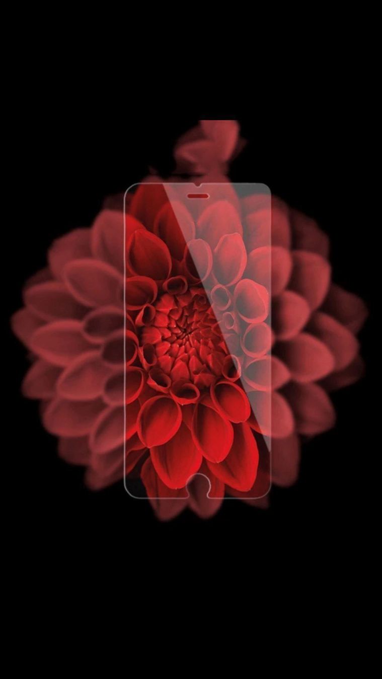 Bicchieri: 2 Stück Premium Iphone 7 Panzerglas 9H – Nuovo e nell'imballaggio originale da Mels venduto da LocalShop 1