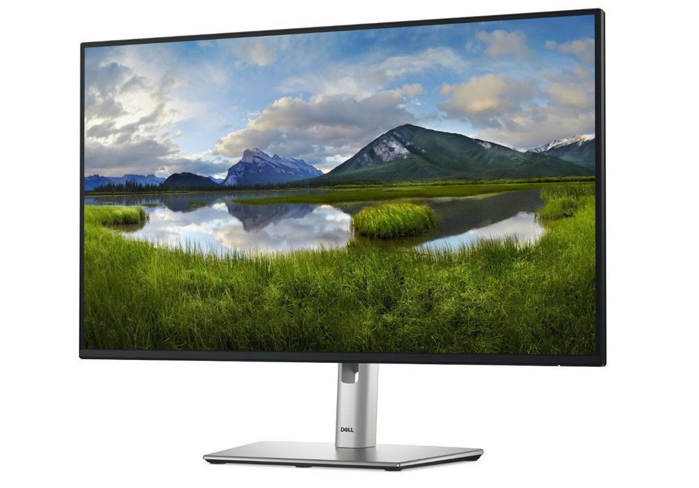 DELL Monitor P2725H 27 Zoll (26021143) (Neu und originalverpackt) in ...