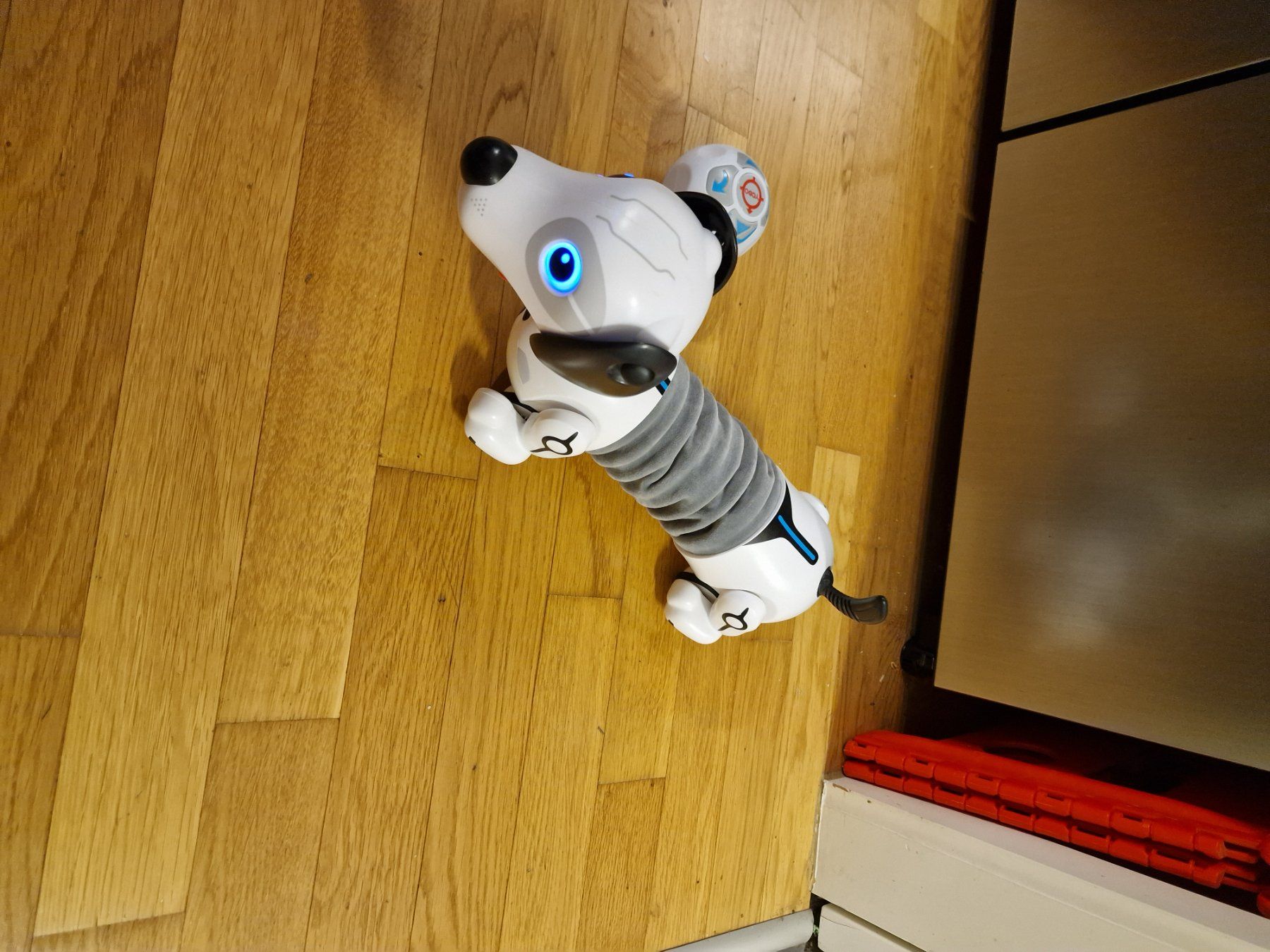Giocattoli: Robo-Hund / Dackel ferngesteuert – Usato da Hünenberg venduto da fam_evjo1 2